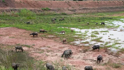 สั่งเตรียมรับมือภัยแล้งปี 2564 พร้อมพัฒนาแหล่งน้ำธรรมชาติ