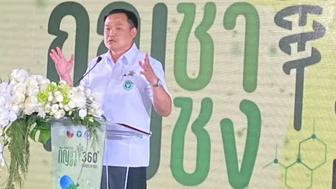 เริ่มแล้วงาน "กัญชงกัญชา 360 องศา" ปิดสนามช้าง จัดใหญ่ที่บุรีรัมย์  