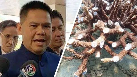 ทส. สั่งเร่งสืบ "ปะการัง เกาะทะลุ" เสียหาย โทษหนัก จำคุก 10 ปี ปรับ 1ล้าน 