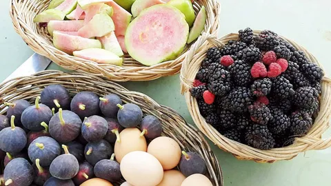 ภูสีเงิน แหล่งรวมไม้ผลแปลก แบล็กเบอร์รีปลูกได้ไม่ต้องหนาว