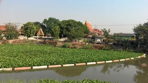 ดันทุ่นดักผักตบชวา อุ้มชาวสวนยางพารา