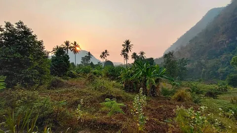 เที่ยวเชิงเกษตร ขายออนไลน์ โควิดไม่ได้แอ้ม