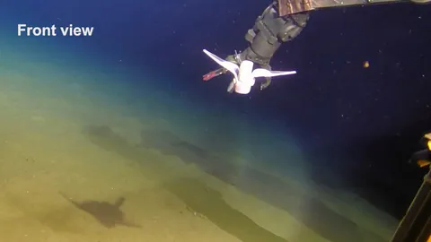 หุ่นยนต์นิ่มว่ายน้ำในร่องลึกก้นสมุทรมาเรียนา