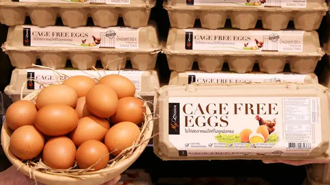 รอบรั้วการตลาด : เซ็นทรัล ฟู้ด รีเทล ตั้งเป้าปี 68 ขายไข่ไก่เคจฟรี 50%