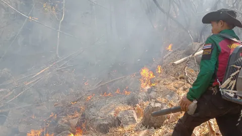 ไฟป่าเมียนมาไหม้ลามมาฝั่งไทยด้านดอยพระเจ้าฯ อ.แม่ระมาด จนท.ดับได้แล้ว 