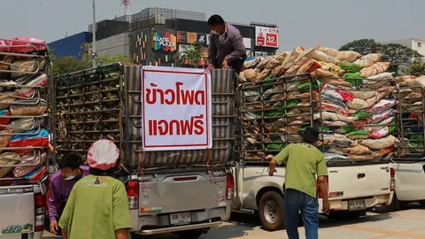 เกษตรกรโคราชแจกฟรี "ข้าวโพดหวาน" หลังราคาตกต่ำ ล้นตลาดเพราะพิษโควิด (คลิป)