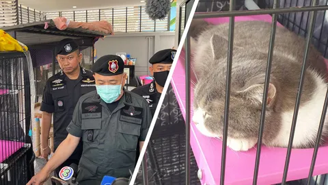 ยึดทรัพย์ 120 ล้าน เครือข่ายยาเสพติด "กุ๊ก ระยอง" บ้าน รถยนต์หรู น้องแมว