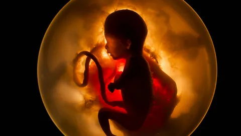 รวมความหมายของการ “ฝันว่าคลอดลูก” ทั้งคนท้องและไม่ได้ท้อง