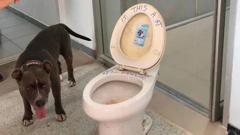 นศ.วิจิตรศิลป์ มอบชักโครกแด่คณบดี อ.ทัศนัย ย้ำ ศิลปะคือเสรีภาพ (คลิป)