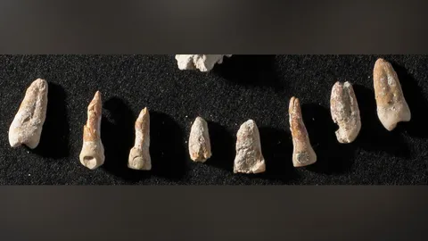 กระดูกทูตชาวมายาโบราณ ชี้ถึงชีวิต 2 ด้าน