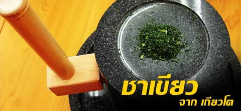 ชาเขียว จาก เกียวโต