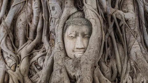 เรื่องเล่าอารามหลวง ศิลปะการขายสู้โควิด