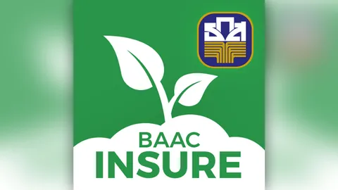 ธ.ก.ส. เปิดตัว บีเอเอซี อินชัวร์ แอปพลิเคชันซื้อประกันภัยข้าวและข้าวโพด สะดวก รวดเร็ว ปลอดภัย