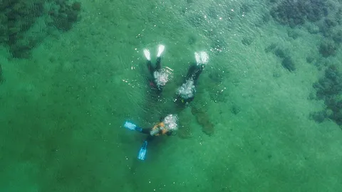 เทคโนโลยีการพิมพ์ 3 มิติกับการอยู่รอดของปะการัง