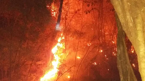 เจ้าหน้าที่ทำงานหนัก ไฟไหม้ป่าบนดอยสะเมิง จ.เชียงใหม่ จนเป็นทะเลเพลิง (คลิป)