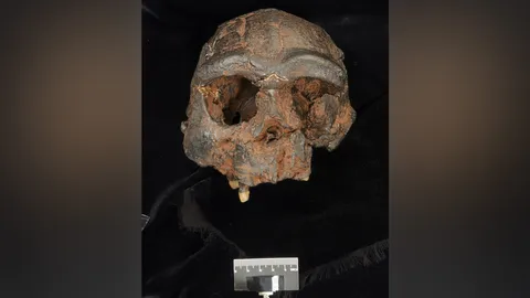 เผยหลักฐานใหม่ค้นหามนุษย์เดนิโซแวนผู้ลึกลับในภูมิภาคเอเชียฯ