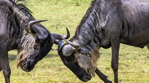 เปิดโลกให้เด็กๆ