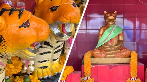 หญิงใบ้ออนทัวร์ "ศาลเจ้าแม่เสือ" หา "เลขเด็ด" ช่วงสงกรานต์