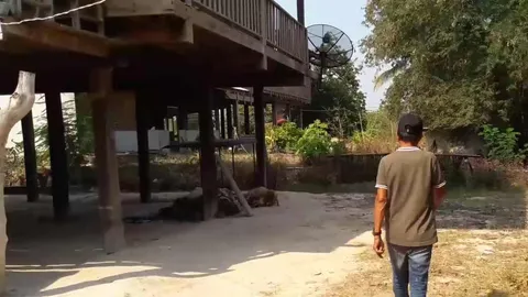 วอนทำพิธีส่งวิญญาณ น้องฆ่าพี่ป่วยติดเตียง ชาวบ้านผวา หมาหอนทั้งคืน