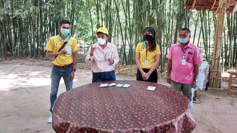 ชูเกษตรกรพังงา เปลี่ยนจากปลูกปาล์มน้ำมันสู่ทำนาข้าว วิถีเกษตรทฤษฎีใหม่