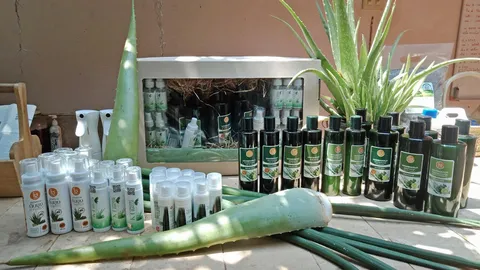 ว่านหางจระเข้ครบวงจร จากอาหารปากสู่ผิวพรรณ