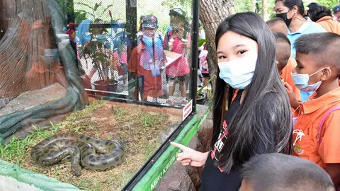 ยลโฉมงูยักษ์