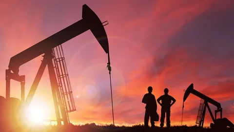 ทุ่นระเบิดปริศนา