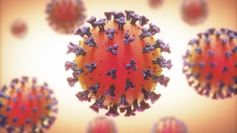 ราชภัฏกาญจน์ ประกาศให้มหาลัย-โรงเรียนสาธิต ปิด 14 วัน หลังพบผู้ป่วยโควิด