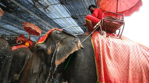 วันสงกรานต์ 2564 เที่ยววันเดียวแบบนิวนอร์มอลที่ วังช้าง อยุธยา