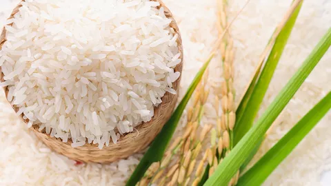 ข้าวไทยยุคโควิด ส่งออกสู่ครัวโลก