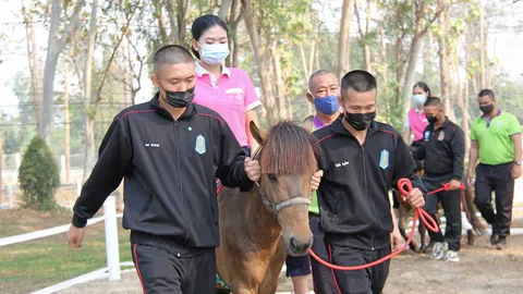 อาชาบำบัดฟื้นฟูผู้ป่วยออทิสติก