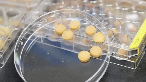 สิงคโปร์ออกแบบฟองน้ำย่อยสลายได้ ใช้จัดการสารปนเปื้อนในน้ำ