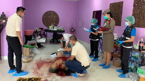 แทงสยอง