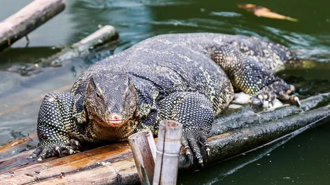 ลูกค้าสำคัญ