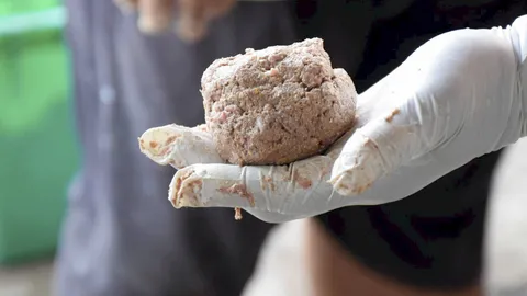 อาหารปลาดุก สูตรกรมประมง