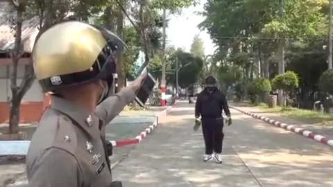 ผึ้งหลวงพิโรธ รุมต่อยคนงานตัดหญ้า ดับคาโรงเรียนดังเชียงใหม่