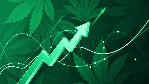 กัญชา จากยาเสพติด สู่พืชมหัศจรรย์ กองทุน หุ้นอารมณ์ดี น่าลงทุนขนาดไหน