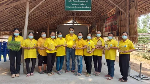 เกษตร จ.ตาก ปลื้มรวมกลุ่มผลิตข้าวอินทรีย์ ปลอดภัยต่อผู้ผลิต-ผู้บริโภค