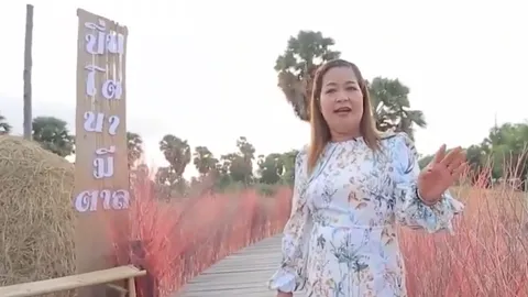 เจ้าของธุรกิจ "ปิ่นโตนามีตาล" เผยเคล็ดลับขายข้าวแกง รายได้หลักแสนต่อวัน (คลิป)