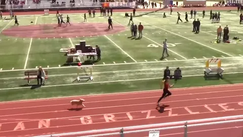 สุดฮา น้องสุนัขปาดหน้าคนเข้าเส้นชัยอันดับ 1 สถิติแพ้ยูเซียน โบลต์ แค่ 1 วินาที (คลิป)