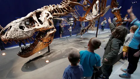 แนวคิดใหม่ ความเร็วในการเดินของไทแรนโนซอรัส เร็กซ์