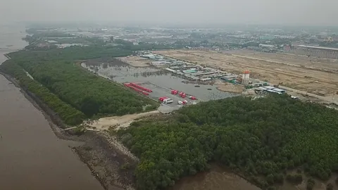 จนท.สนธิกำลังตรวจยึดพื้นที่ป่าชายเลนที่สมุทรปราการ หลังถูกนายทุนยึดครอง