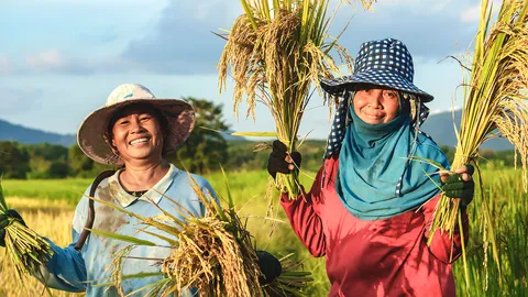 ชาวนาเฮ ข้าวราคาขึ้น สินค้าเกษตรมีการปรับราคาในเดือนพฤษภานี้
