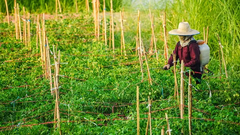 พาณิชย์เผยเทรนด์ชนบทมาแรงช่วงโควิด แนะคนไทยผลิตสินค้าบริการเกาะกระแส