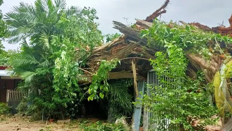 พายุพัดต้นยาง 200 ปีราชบุรีหักทับบ้านพัง ลมแรงทำหลังคาเสียหายหลายหลัง