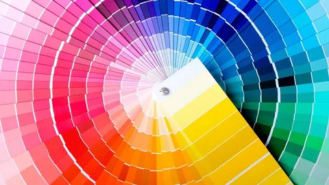 รู้จัก "แม่สี" พื้นฐานการสร้างงานศิลปะ มีสีอะไรบ้าง?