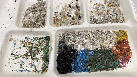 สารจากแบคทีเรียดักจับไมโครพลาสติกที่ก่อมลพิษ