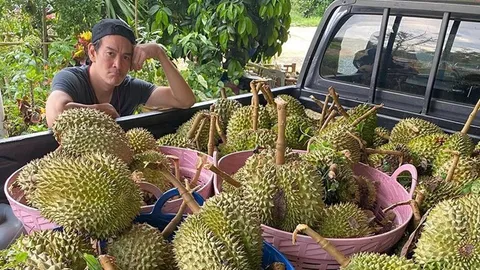 ชาคริต เป็นเศร้า สวนทุเรียนเจอพายุซัดถล่ม ฉีกร่วงเป็นคันรถ