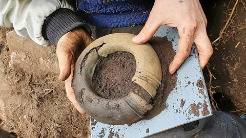 วัตถุโบราณบ่งชี้ยุคสำริด ที่ไม่เหมือนใครในสวีเดน