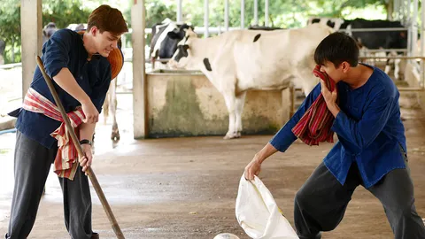 มนต์รักหนองผักกะแยง EP.3 ภารกิจต่อไปของเขียว เก็บขี้วัวมาเลี้ยงไส้เดือน